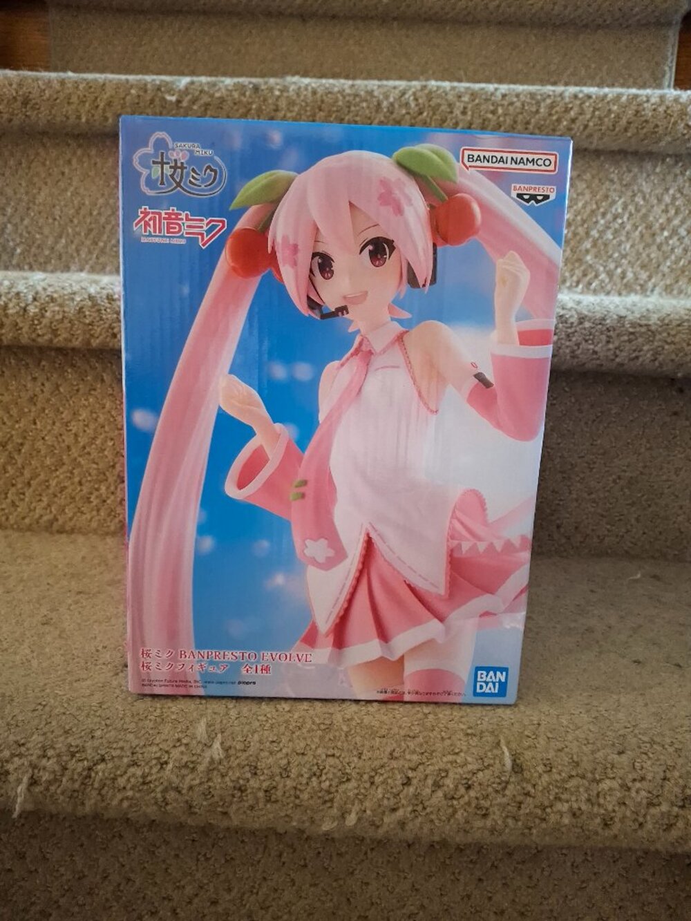 Piapro Characters Hatsune Miku Sakura Banpresto Evolve (Bandai Spirits)